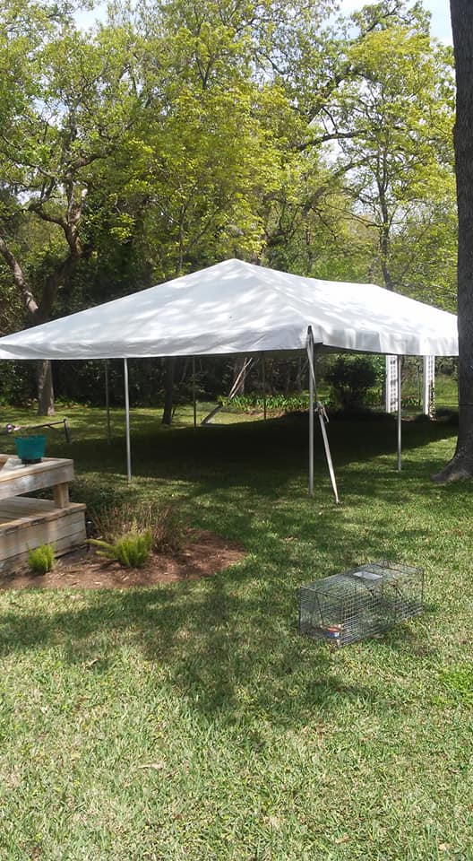 outdoor tent in a backyard