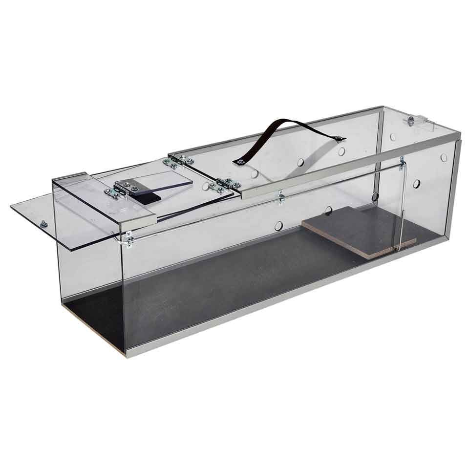 Katzenfalle Plexiglas