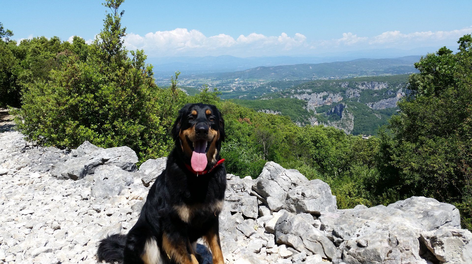 Urlaub in Frankreich. Daye ist überall dabei