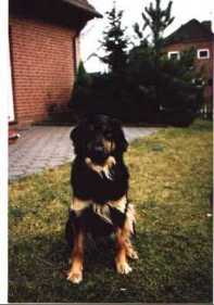 Jenny, sie lehrte uns konsequent zu sein