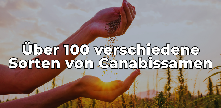100 verschiedene Arten von Cannabis