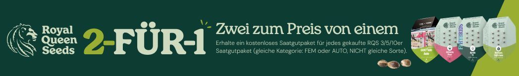 Zwei zum Preis von einem