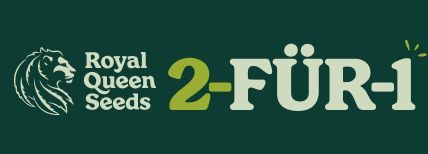 Werbebanner 2 für den