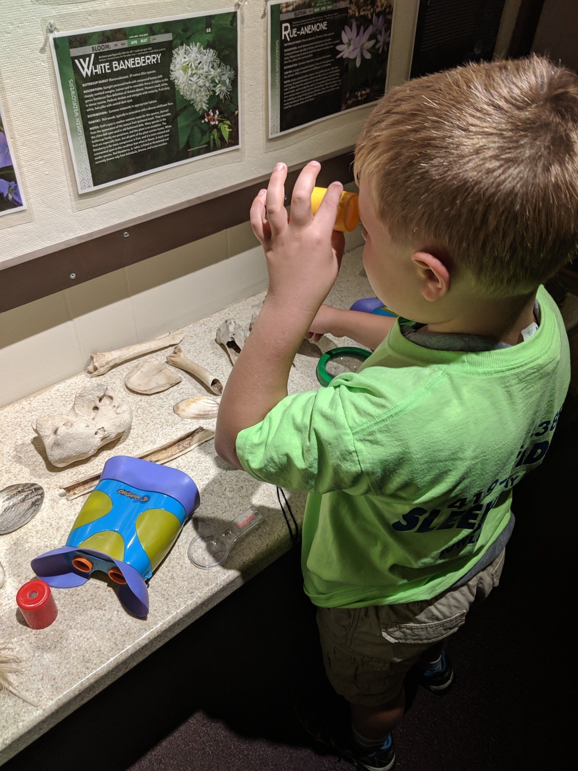 Child at the Sleek Academy During Science Class Image