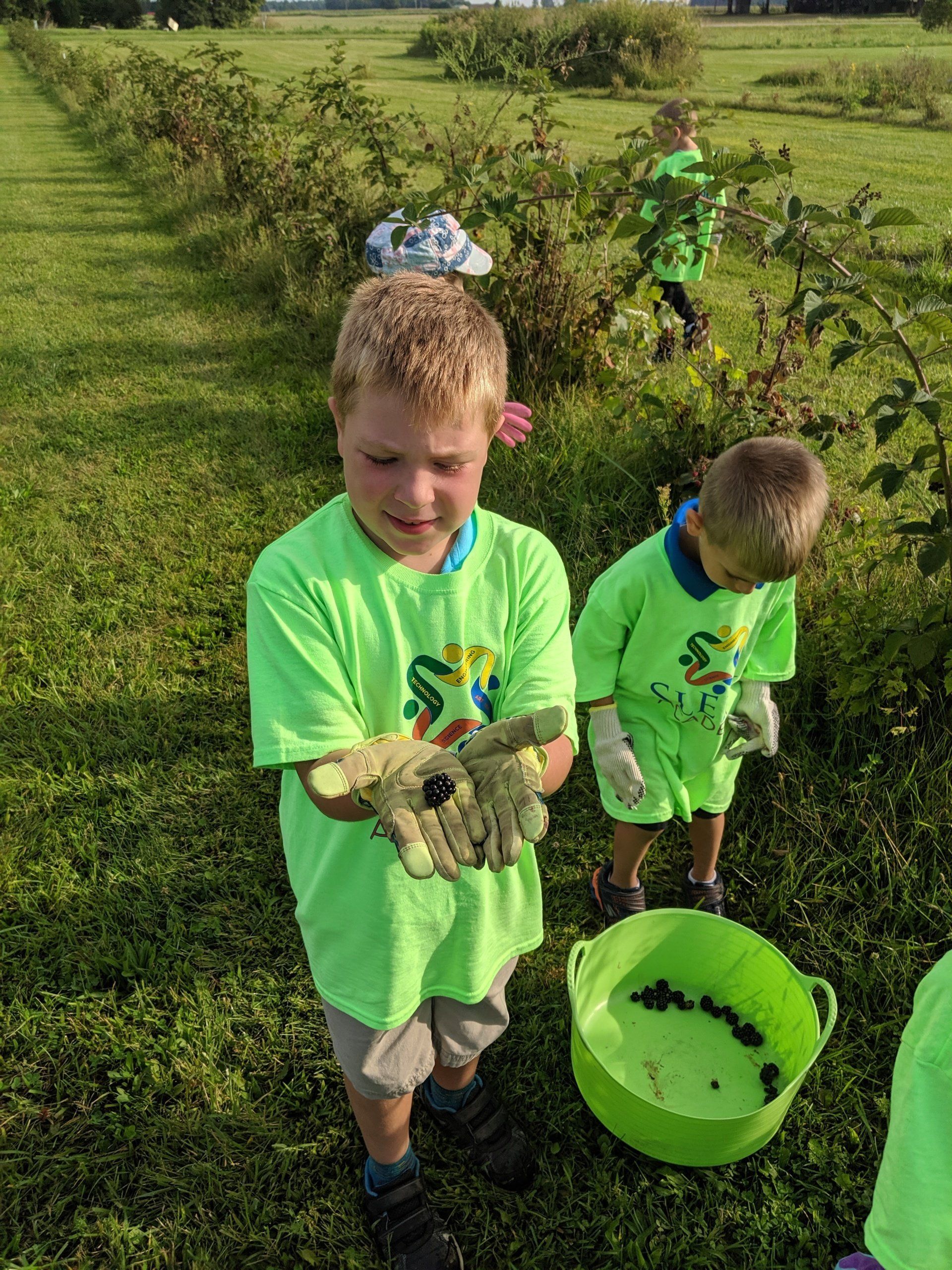 Sleek Academy Students Picking Berries Image