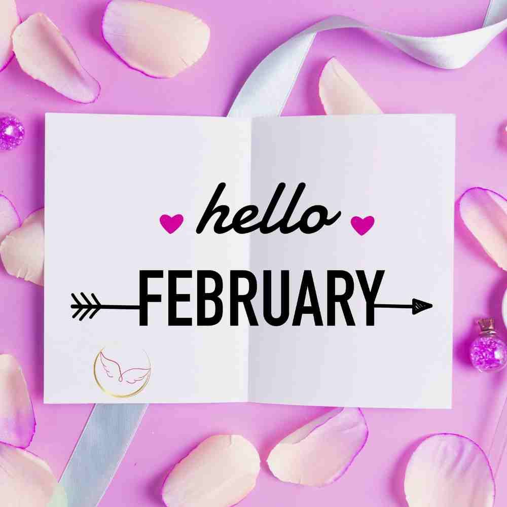 Hallo Februar ... rosefarbenen Hintergrund mit Schriftzug und Rosenblättern.