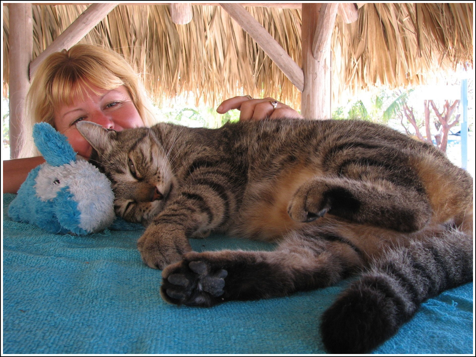 Conduites Agressives Inter-spécifiques Conduites Agressives Inter-spécifiques