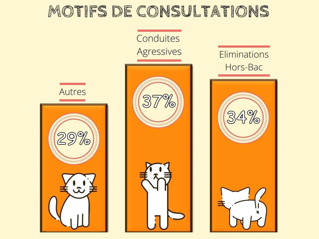 Motifs de Consultations : Top 3 Motifs de Consultations : Top 3