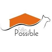 Félin Possible Félin Possible