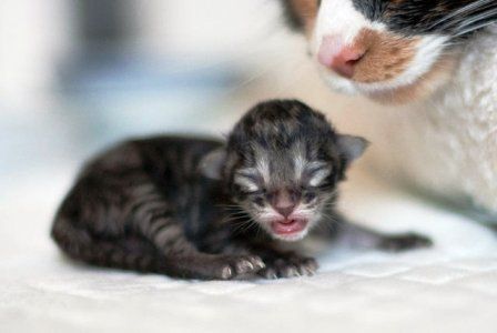 Cohabitation_01 Cohabitation_01