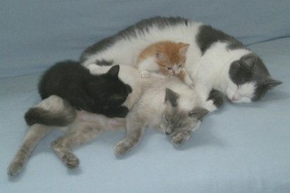 Cohabitation_01 Cohabitation_01