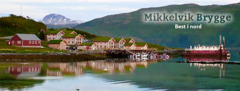 Mikkelvik Brygge infos zu mikklvik brygge