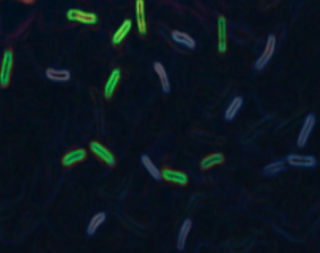 Invisible UV Fluorescent Fibres