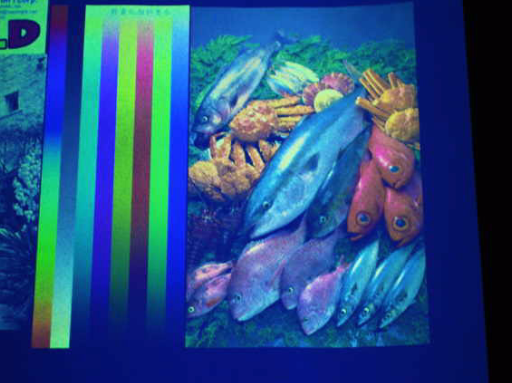 ducument security ink