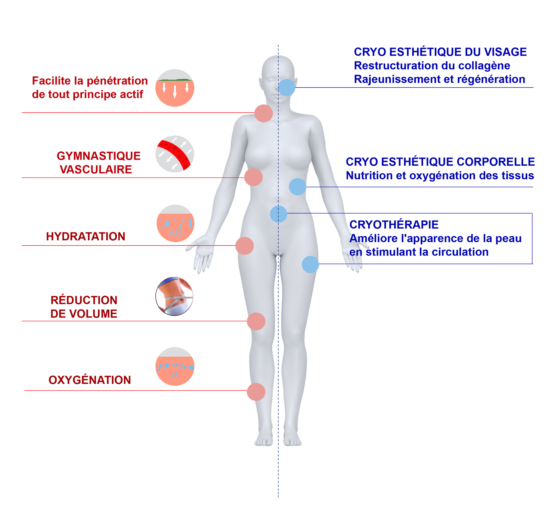 CRIO THERAPY L'image montre les différents effets que produisent sur le corps les applications de froid appliquées avec des appareils esthétiques.