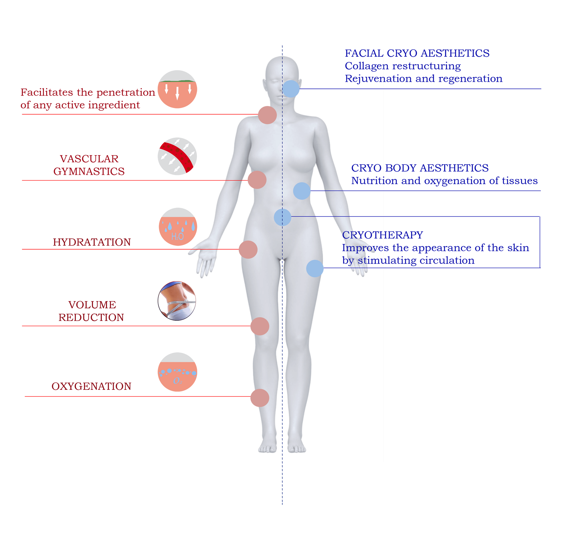 CRIO THERAPY The image shows the different effects that cold applications using aesthetic equipment produce on the body.