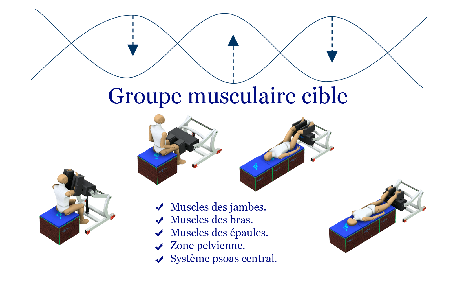 GRUPOS MUSCULARES L'image montre les différentes positions dans lesquelles les traitements sont effectués avec l'équipement d'appareils esthétiques MRM Pro Wellness.