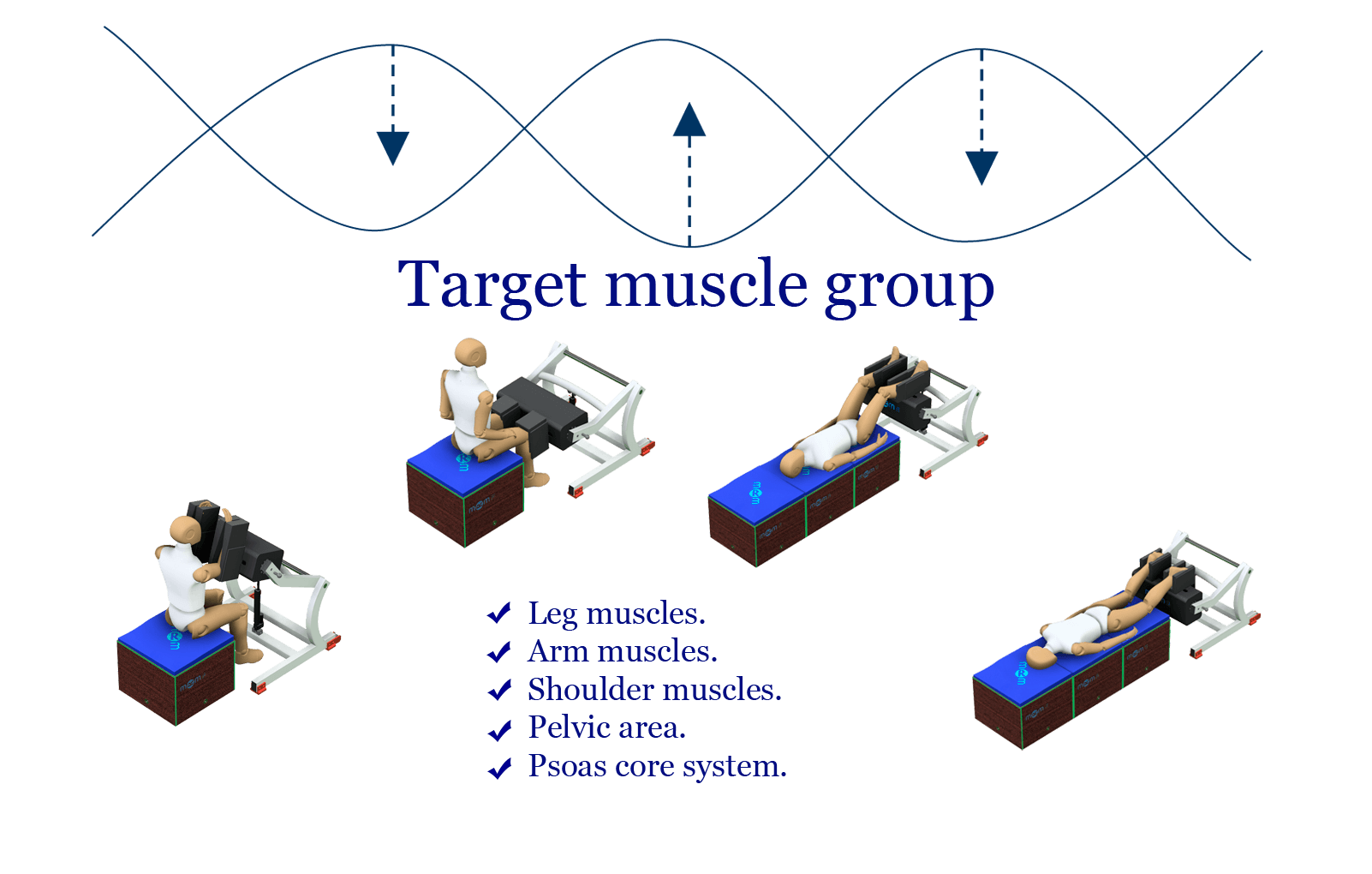 MUSCLE GROUPS The image shows the different positions in which treatments are performed with the MRM Pro Sport muscle rehabilitation device.