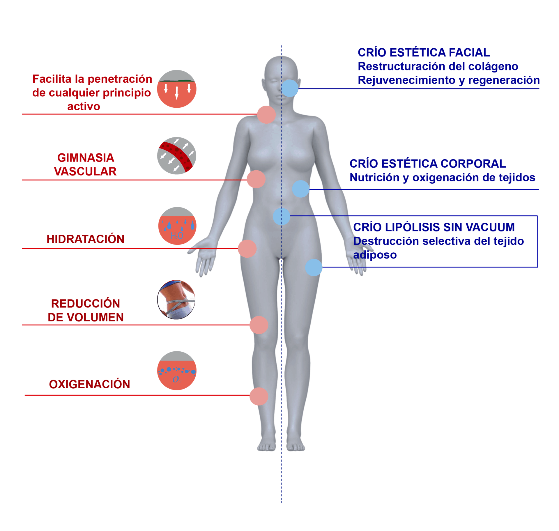 The image shows the different effects that cold applications using aesthetic equipment produce on the body.