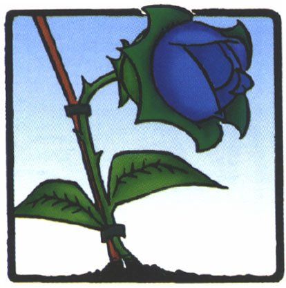 logo la rosa blu odv associazione volontariato