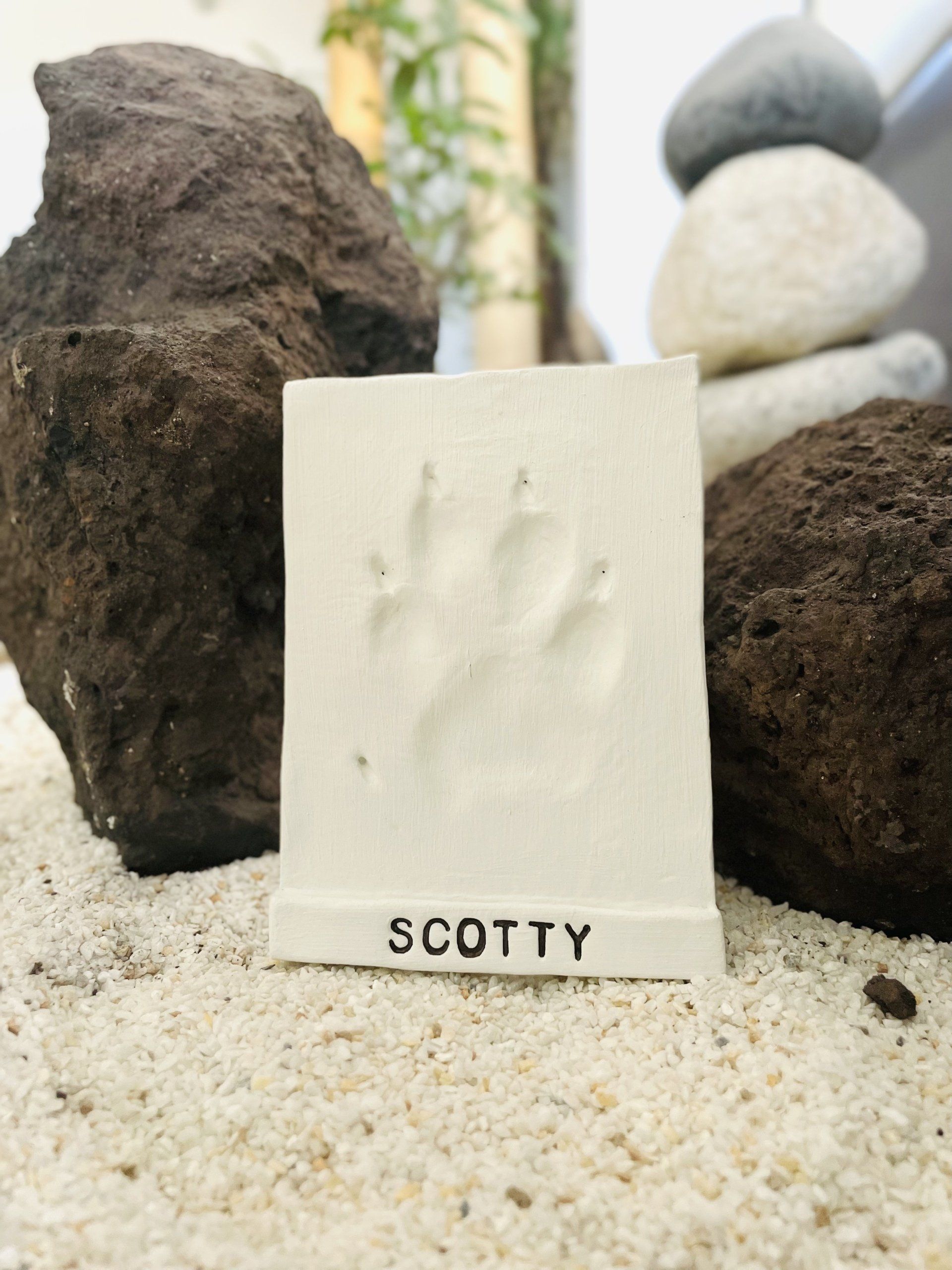 Huella de su mascota fabricada en arcilla fría 44,00€