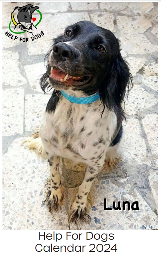 Help For Dogs 2024 calendar