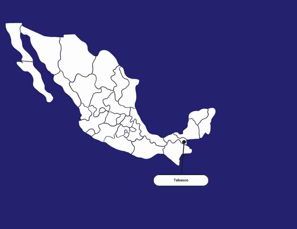 Contador en Tabasco