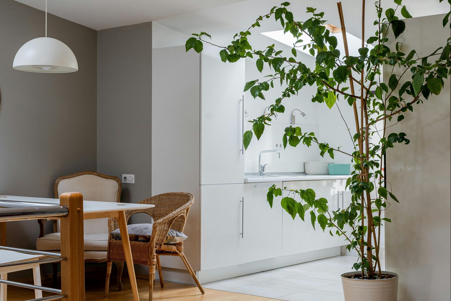 Kitchen Cabinets