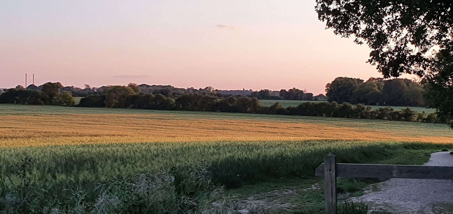 Cabinet Hypnose émotions TDAH TSA hypersensible stress zebre3