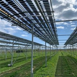 Äpfel, Akzeptanz, Anlagendesign, aufgeständerte Unterkonstruktion, Bewirtschaf-tung, Direktvermarktung, doppelte Landnutzung, Dürreschäden, Eigenstromver-brauch, Energiewende, Ertragsprognose, Flächendruck, Flächeneffizienz, Folienüber-dachung, Frostschäden, Genehmigungsprozesse, Hagelschäden, Hagelschutznetze, intensive Ackerkulturen, Klimawandel, Landschaftsästhetik, Landschaftsattraktivität, Landschaftsschutz, landwirtschaftliche Hauptnutzung, Lichtverfügbarkeit, Marktfähig-keit, Naturschutz, Fotosynthese, Pilotanlagen, privilegierte Vorhaben, ressourceneffi-ziente Landnutzung, Semitransparent, Sonnenbrand, Starkregen, Strombörse, Syner-getische Integration, Tracker, Wassermanagement, Wasserverfügbarkeit, zusätzliche Solarstromproduktion, zusätzliches Einkommen, EEG-Förderung, Ertragssteigerungen, Beeren, Wein, Gemüse, Modulbreite, Bilanzkreis, Ackerkulturen, Gesamtproduktivität, anzulegender Wert, dienende Funktion, Netzbetreiber, Ernteausfälle, zusätzliche Ein-kommensquelle, Reihenabstand, gartenbauliche, Kulturen, Sonderkulturen, lichte Hö-he, überragendes öffentliches, Interesse, Rammung, Erzeugungsprognose, Über-schusseinspeisung, Marktpreis, Neigungswinkel, Wechselrichter, Fernsteuerbarkeit, Bodenversiegelung, fixe Einspeisevergütung, Marktprämie, Flächendruck, PV, Photo-voltaik, Solar, PV-Anlage, Photovoltaik-Anlage, Photovoltaik Anlage, AgriPV, AgriPV, Agrar-PV, Agrar-PV, Agrar-Photovoltaik, Agrar Photovoltaik, Module, Unterkonstrukti-on, Landwirtschaft, Land, grün, Bauern, Obstanbau, Obst, Energie, erneuerbare Ener-gie, PV, Carports, Tracker, geführt, statisch, Deutschland, PV-Firma, PV Firma, Agrar, Pflanzenkultur, Himbeere, Wein, Obst, Apfel