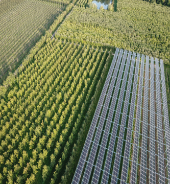Äpfel, Akzeptanz, Anlagendesign, aufgeständerte Unterkonstruktion, Bewirtschaf-tung, Direktvermarktung, doppelte Landnutzung, Dürreschäden, Eigenstromver-brauch, Energiewende, Ertragsprognose, Flächendruck, Flächeneffizienz, Folienüber-dachung, Frostschäden, Genehmigungsprozesse, Hagelschäden, Hagelschutznetze, intensive Ackerkulturen, Klimawandel, Landschaftsästhetik, Landschaftsattraktivität, Landschaftsschutz, landwirtschaftliche Hauptnutzung, Lichtverfügbarkeit, Marktfähig-keit, Naturschutz, Fotosynthese, Pilotanlagen, privilegierte Vorhaben, ressourceneffi-ziente Landnutzung, Semitransparent, Sonnenbrand, Starkregen, Strombörse, Syner-getische Integration, Tracker, Wassermanagement, Wasserverfügbarkeit, zusätzliche Solarstromproduktion, zusätzliches Einkommen, EEG-Förderung, Ertragssteigerungen, Beeren, Wein, Gemüse, Modulbreite, Bilanzkreis, Ackerkulturen, Gesamtproduktivität, anzulegender Wert, dienende Funktion, Netzbetreiber, Ernteausfälle, zusätzliche Ein-kommensquelle, Reihenabstand, gartenbauliche, Kulturen, Sonderkulturen, lichte Hö-he, überragendes öffentliches, Interesse, Rammung, Erzeugungsprognose, Über-schusseinspeisung, Marktpreis, Neigungswinkel, Wechselrichter, Fernsteuerbarkeit, Bodenversiegelung, fixe Einspeisevergütung, Marktprämie, Flächendruck, PV, Photo-voltaik, Solar, PV-Anlage, Photovoltaik-Anlage, Photovoltaik Anlage, AgriPV, AgriPV, Agrar-PV, Agrar-PV, Agrar-Photovoltaik, Agrar Photovoltaik, Module, Unterkonstrukti-on, Landwirtschaft, Land, grün, Bauern, Obstanbau, Obst, Energie, erneuerbare Ener-gie, PV, Carports, Tracker, geführt, statisch, Deutschland, PV-Firma, PV Firma, Agrar, Pflanzenkultur, Himbeere, Wein, Obst, Apfel