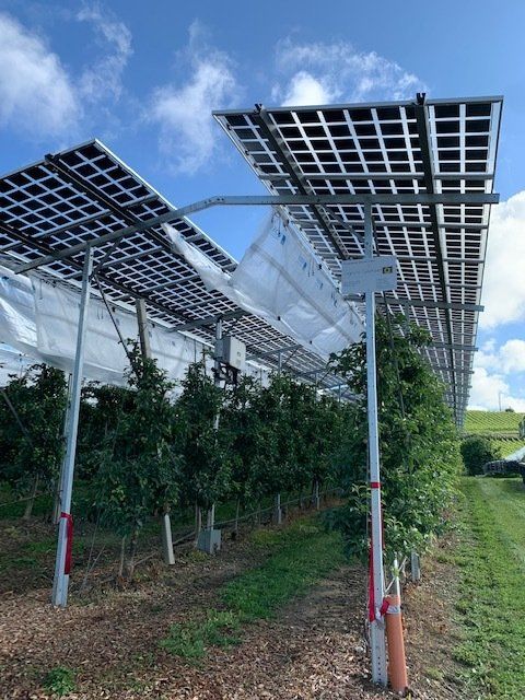 Äpfel, Akzeptanz, Anlagendesign, aufgeständerte Unterkonstruktion, Bewirtschaf-tung, Direktvermarktung, doppelte Landnutzung, Dürreschäden, Eigenstromver-brauch, Energiewende, Ertragsprognose, Flächendruck, Flächeneffizienz, Folienüber-dachung, Frostschäden, Genehmigungsprozesse, Hagelschäden, Hagelschutznetze, intensive Ackerkulturen, Klimawandel, Landschaftsästhetik, Landschaftsattraktivität, Landschaftsschutz, landwirtschaftliche Hauptnutzung, Lichtverfügbarkeit, Marktfähig-keit, Naturschutz, Fotosynthese, Pilotanlagen, privilegierte Vorhaben, ressourceneffi-ziente Landnutzung, Semitransparent, Sonnenbrand, Starkregen, Strombörse, Syner-getische Integration, Tracker, Wassermanagement, Wasserverfügbarkeit, zusätzliche Solarstromproduktion, zusätzliches Einkommen, EEG-Förderung, Ertragssteigerungen, Beeren, Wein, Gemüse, Modulbreite, Bilanzkreis, Ackerkulturen, Gesamtproduktivität, anzulegender Wert, dienende Funktion, Netzbetreiber, Ernteausfälle, zusätzliche Ein-kommensquelle, Reihenabstand, gartenbauliche, Kulturen, Sonderkulturen, lichte Hö-he, überragendes öffentliches, Interesse, Rammung, Erzeugungsprognose, Über-schusseinspeisung, Marktpreis, Neigungswinkel, Wechselrichter, Fernsteuerbarkeit, Bodenversiegelung, fixe Einspeisevergütung, Marktprämie, Flächendruck, PV, Photo-voltaik, Solar, PV-Anlage, Photovoltaik-Anlage, Photovoltaik Anlage, AgriPV, AgriPV, Agrar-PV, Agrar-PV, Agrar-Photovoltaik, Agrar Photovoltaik, Module, Unterkonstrukti-on, Landwirtschaft, Land, grün, Bauern, Obstanbau, Obst, Energie, erneuerbare Ener-gie, PV, Carports, Tracker, geführt, statisch, Deutschland, PV-Firma, PV Firma, Agrar, Pflanzenkultur, Himbeere, Wein, Obst, Apfel