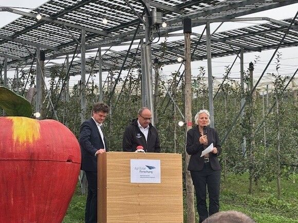 Agri-Photovoltaik, AgriPV, Apfelanbau, Obstanbau, Beerenanbau, Landwirtschaft, erneuerbare Energie