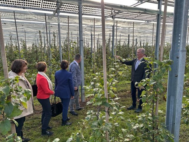 AgriPV, Agri-Photovoltaik, erneuerbare Energie, Ökostrom, Obstanbau, Beerenanbau, Weinanbau, Apfel