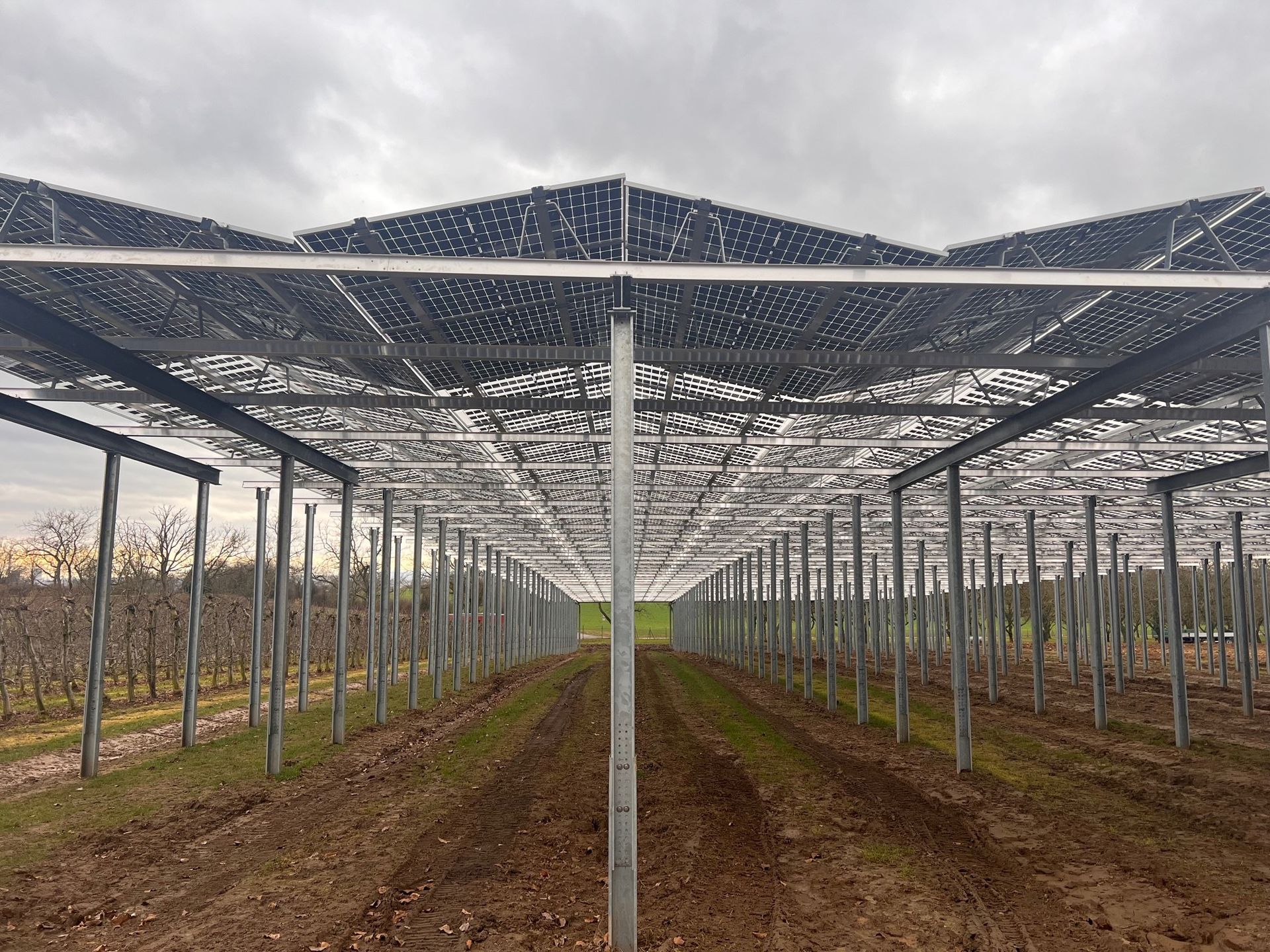 Äpfel, Akzeptanz, Anlagendesign, aufgeständerte Unterkonstruktion, Bewirtschaftung, Di-rektvermarktung, doppelte Landnutzung, Dürreschäden, Eigenstromverbrauch, Energie-wende, Ertragsprognose, Flächendruck, Flächeneffizienz, Folienüberdachung, Frostschä-den, Genehmigungsprozesse, Hagelschäden, Hagelschutznetze, intensive Ackerkulturen, Klimawandel, Landschaftsästhetik, Landschaftsattraktivität, Landschaftsschutz, landwirt-schaftliche Hauptnutzung, Lichtverfügbarkeit, Marktfähigkeit, Naturschutz, Fotosynthese, Pilotanlagen, privilegierte Vorhaben, ressourceneffiziente Landnutzung, Semitransparent, Sonnenbrand, Starkregen, Strombörse, Synergetische Integration, Tracker, Wasserma-nagement, Wasserverfügbarkeit, zusätzliche Solarstromproduktion, zusätzliches Einkom-men, EEG-Förderung, Ertragssteigerungen, Beeren, Wein, Gemüse, Modulbreite, Bilanz-kreis, Ackerkulturen, Gesamtproduktivität, anzulegender Wert, dienende Funktion, Netzbe-treiber, Ernteausfälle, zusätzliche Einkommensquelle, Reihenabstand, gartenbauliche, Kul-turen, Sonderkulturen, lichte Höhe, überragendes öffentliches, Interesse, Rammung, Er-zeugungsprognose, Überschusseinspeisung, Marktpreis, Neigungswinkel, Wechselrichter, Fernsteuerbarkeit, Bodenversiegelung, fixe Einspeisevergütung, Marktprämie, Flächen-druck, PV, Photovoltaik, Solar, PV-Anlage, Photovoltaik-Anlage, Photovoltaik Anlage, Ag-riPV, AgriPV, Agrar-PV, Agrar-PV, Agrar-Photovoltaik, Agrar Photovoltaik, Module, Unter-konstruktion, Landwirtschaft, Land, grün, Bauern, Obstanbau, Obst, Energie, erneuerbare Energie, PV, Carports, Tracker, geführt, statisch, Deutschland, PV-Firma, PV Firma, Agrar, Pflanzenkultur, Himbeere, Wein, Obst, Apfel