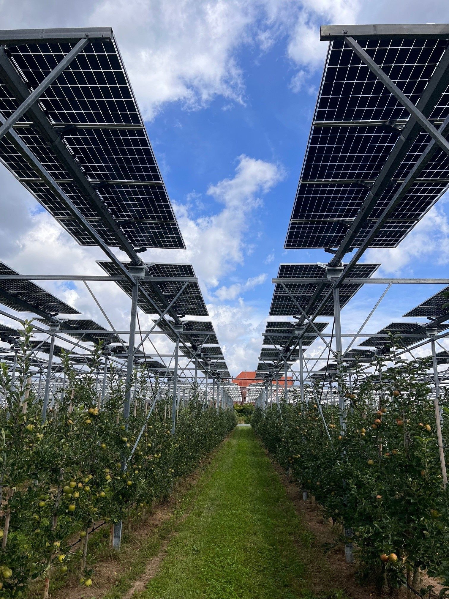 Äpfel, Akzeptanz, Anlagendesign, aufgeständerte Unterkonstruktion, Bewirtschaftung, Di-rektvermarktung, doppelte Landnutzung, Dürreschäden, Eigenstromverbrauch, Energie-wende, Ertragsprognose, Flächendruck, Flächeneffizienz, Folienüberdachung, Frostschä-den, Genehmigungsprozesse, Hagelschäden, Hagelschutznetze, intensive Ackerkulturen, Klimawandel, Landschaftsästhetik, Landschaftsattraktivität, Landschaftsschutz, landwirt-schaftliche Hauptnutzung, Lichtverfügbarkeit, Marktfähigkeit, Naturschutz, Fotosynthese, Pilotanlagen, privilegierte Vorhaben, ressourceneffiziente Landnutzung, Semitransparent, Sonnenbrand, Starkregen, Strombörse, Synergetische Integration, Tracker, Wasserma-nagement, Wasserverfügbarkeit, zusätzliche Solarstromproduktion, zusätzliches Einkom-men, EEG-Förderung, Ertragssteigerungen, Beeren, Wein, Gemüse, Modulbreite, Bilanz-kreis, Ackerkulturen, Gesamtproduktivität, anzulegender Wert, dienende Funktion, Netzbe-treiber, Ernteausfälle, zusätzliche Einkommensquelle, Reihenabstand, gartenbauliche, Kul-turen, Sonderkulturen, lichte Höhe, überragendes öffentliches, Interesse, Rammung, Er-zeugungsprognose, Überschusseinspeisung, Marktpreis, Neigungswinkel, Wechselrichter, Fernsteuerbarkeit, Bodenversiegelung, fixe Einspeisevergütung, Marktprämie, Flächen-druck, PV, Photovoltaik, Solar, PV-Anlage, Photovoltaik-Anlage, Photovoltaik Anlage, Ag-riPV, AgriPV, Agrar-PV, Agrar-PV, Agrar-Photovoltaik, Agrar Photovoltaik, Module, Unter-konstruktion, Landwirtschaft, Land, grün, Bauern, Obstanbau, Obst, Energie, erneuerbare Energie, PV, Carports, Tracker, geführt, statisch, Deutschland, PV-Firma, PV Firma, Agrar, Pflanzenkultur, Himbeere, Wein, Obst, Apfel