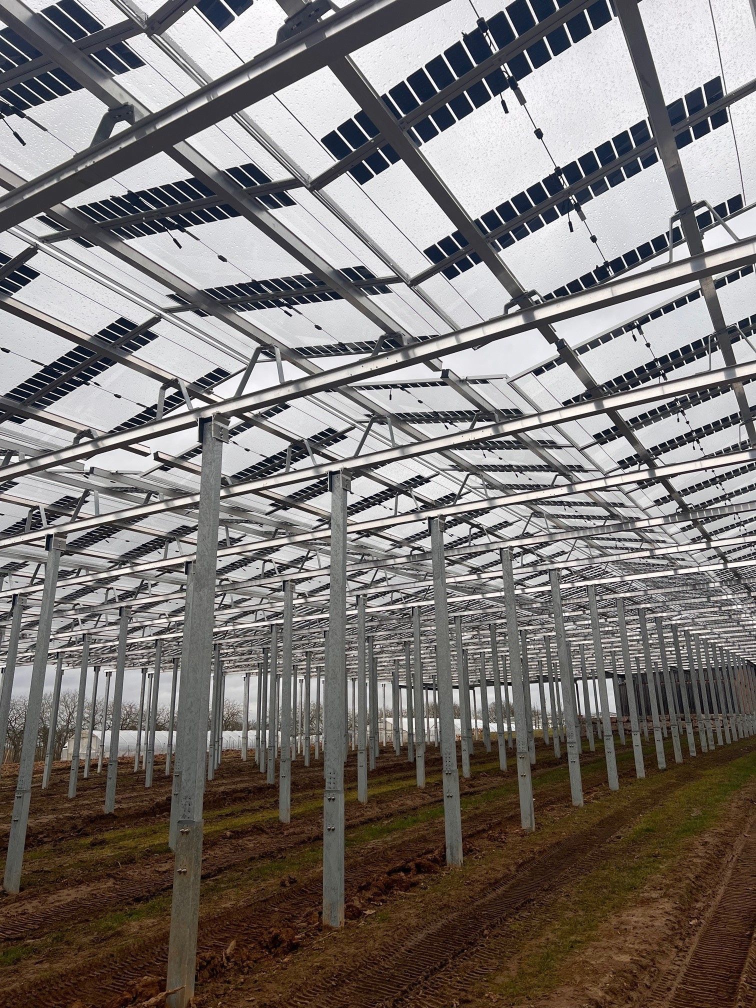 Äpfel, Akzeptanz, Anlagendesign, aufgeständerte Unterkonstruktion, Bewirtschaf-tung, Direktvermarktung, doppelte Landnutzung, Dürreschäden, Eigenstromver-brauch, Energiewende, Ertragsprognose, Flächendruck, Flächeneffizienz, Folienüber-dachung, Frostschäden, Genehmigungsprozesse, Hagelschäden, Hagelschutznetze, intensive Ackerkulturen, Klimawandel, Landschaftsästhetik, Landschaftsattraktivität, Landschaftsschutz, landwirtschaftliche Hauptnutzung, Lichtverfügbarkeit, Marktfähig-keit, Naturschutz, Fotosynthese, Pilotanlagen, privilegierte Vorhaben, ressourceneffi-ziente Landnutzung, Semitransparent, Sonnenbrand, Starkregen, Strombörse, Syner-getische Integration, Tracker, Wassermanagement, Wasserverfügbarkeit, zusätzliche Solarstromproduktion, zusätzliches Einkommen, EEG-Förderung, Ertragssteigerungen, Beeren, Wein, Gemüse, Modulbreite, Bilanzkreis, Ackerkulturen, Gesamtproduktivität, anzulegender Wert, dienende Funktion, Netzbetreiber, Ernteausfälle, zusätzliche Ein-kommensquelle, Reihenabstand, gartenbauliche, Kulturen, Sonderkulturen, lichte Hö-he, überragendes öffentliches, Interesse, Rammung, Erzeugungsprognose, Über-schusseinspeisung, Marktpreis, Neigungswinkel, Wechselrichter, Fernsteuerbarkeit, Bodenversiegelung, fixe Einspeisevergütung, Marktprämie, Flächendruck, PV, Photo-voltaik, Solar, PV-Anlage, Photovoltaik-Anlage, Photovoltaik Anlage, AgriPV, AgriPV, Agrar-PV, Agrar-PV, Agrar-Photovoltaik, Agrar Photovoltaik, Module, Unterkonstrukti-on, Landwirtschaft, Land, grün, Bauern, Obstanbau, Obst, Energie, erneuerbare Ener-gie, PV, Carports, Tracker, geführt, statisch, Deutschland, PV-Firma, PV Firma, Agrar, Pflanzenkultur, Himbeere, Wein, Obst, Apfel