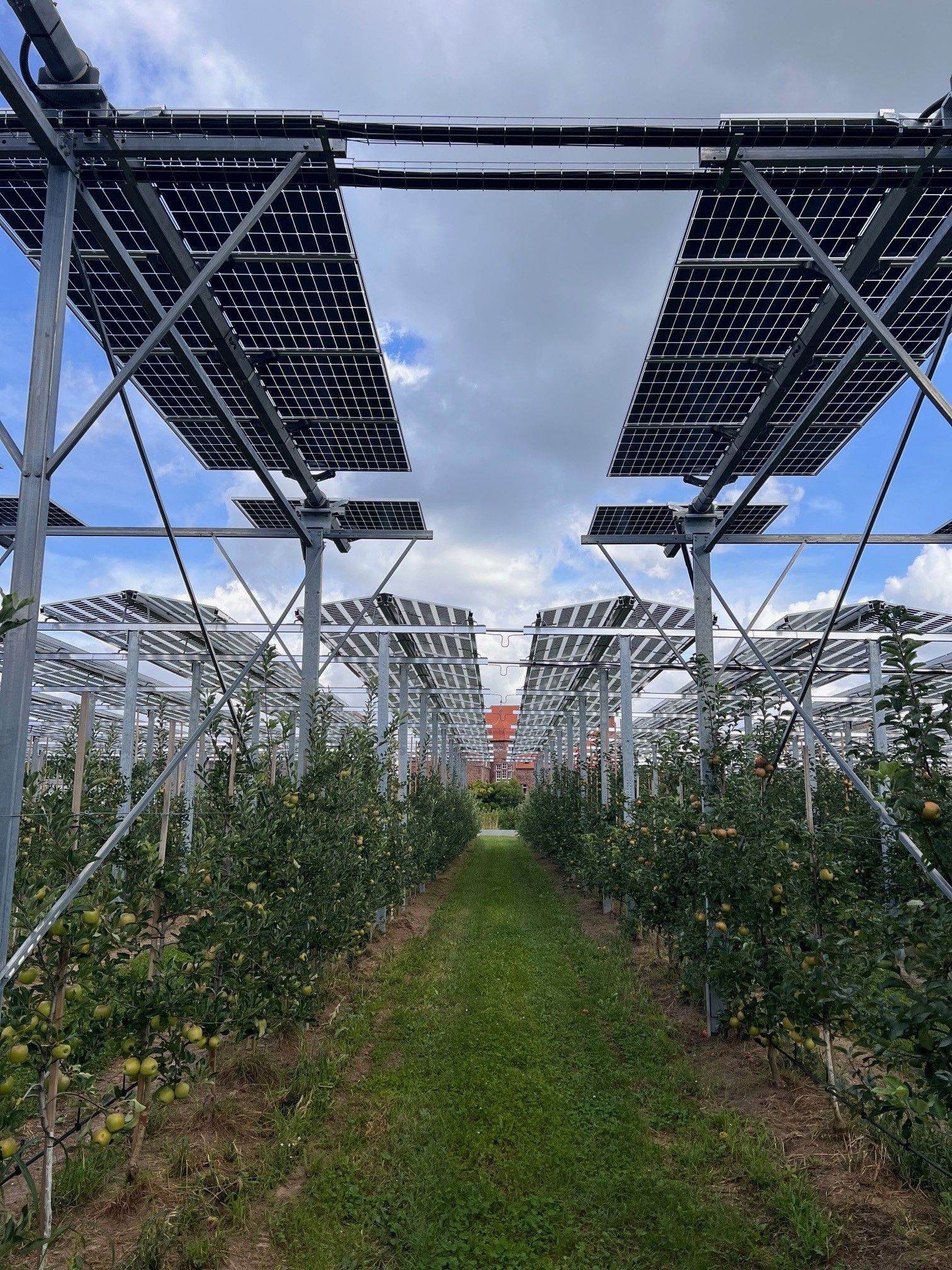 Äpfel, Akzeptanz, Anlagendesign, aufgeständerte Unterkonstruktion, Bewirtschaftung, Di-rektvermarktung, doppelte Landnutzung, Dürreschäden, Eigenstromverbrauch, Energie-wende, Ertragsprognose, Flächendruck, Flächeneffizienz, Folienüberdachung, Frostschä-den, Genehmigungsprozesse, Hagelschäden, Hagelschutznetze, intensive Ackerkulturen, Klimawandel, Landschaftsästhetik, Landschaftsattraktivität, Landschaftsschutz, landwirt-schaftliche Hauptnutzung, Lichtverfügbarkeit, Marktfähigkeit, Naturschutz, Fotosynthese, Pilotanlagen, privilegierte Vorhaben, ressourceneffiziente Landnutzung, Semitransparent, Sonnenbrand, Starkregen, Strombörse, Synergetische Integration, Tracker, Wasserma-nagement, Wasserverfügbarkeit, zusätzliche Solarstromproduktion, zusätzliches Einkom-men, EEG-Förderung, Ertragssteigerungen, Beeren, Wein, Gemüse, Modulbreite, Bilanz-kreis, Ackerkulturen, Gesamtproduktivität, anzulegender Wert, dienende Funktion, Netzbe-treiber, Ernteausfälle, zusätzliche Einkommensquelle, Reihenabstand, gartenbauliche, Kul-turen, Sonderkulturen, lichte Höhe, überragendes öffentliches, Interesse, Rammung, Er-zeugungsprognose, Überschusseinspeisung, Marktpreis, Neigungswinkel, Wechselrichter, Fernsteuerbarkeit, Bodenversiegelung, fixe Einspeisevergütung, Marktprämie, Flächen-druck, PV, Photovoltaik, Solar, PV-Anlage, Photovoltaik-Anlage, Photovoltaik Anlage, Ag-riPV, AgriPV, Agrar-PV, Agrar-PV, Agrar-Photovoltaik, Agrar Photovoltaik, Module, Unter-konstruktion, Landwirtschaft, Land, grün, Bauern, Obstanbau, Obst, Energie, erneuerbare Energie, PV, Carports, Tracker, geführt, statisch, Deutschland, PV-Firma, PV Firma, Agrar, Pflanzenkultur, Himbeere, Wein, Obst, Apfel