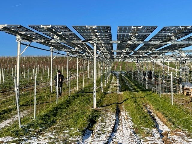 Äpfel, Akzeptanz, Anlagendesign, aufgeständerte Unterkonstruktion, Bewirtschaf-tung, Direktvermarktung, doppelte Landnutzung, Dürreschäden, Eigenstromver-brauch, Energiewende, Ertragsprognose, Flächendruck, Flächeneffizienz, Folienüber-dachung, Frostschäden, Genehmigungsprozesse, Hagelschäden, Hagelschutznetze, intensive Ackerkulturen, Klimawandel, Landschaftsästhetik, Landschaftsattraktivität, Landschaftsschutz, landwirtschaftliche Hauptnutzung, Lichtverfügbarkeit, Marktfähig-keit, Naturschutz, Fotosynthese, Pilotanlagen, privilegierte Vorhaben, ressourceneffi-ziente Landnutzung, Semitransparent, Sonnenbrand, Starkregen, Strombörse, Syner-getische Integration, Tracker, Wassermanagement, Wasserverfügbarkeit, zusätzliche Solarstromproduktion, zusätzliches Einkommen, EEG-Förderung, Ertragssteigerungen, Beeren, Wein, Gemüse, Modulbreite, Bilanzkreis, Ackerkulturen, Gesamtproduktivität, anzulegender Wert, dienende Funktion, Netzbetreiber, Ernteausfälle, zusätzliche Ein-kommensquelle, Reihenabstand, gartenbauliche, Kulturen, Sonderkulturen, lichte Hö-he, überragendes öffentliches, Interesse, Rammung, Erzeugungsprognose, Über-schusseinspeisung, Marktpreis, Neigungswinkel, Wechselrichter, Fernsteuerbarkeit, Bodenversiegelung, fixe Einspeisevergütung, Marktprämie, Flächendruck, PV, Photo-voltaik, Solar, PV-Anlage, Photovoltaik-Anlage, Photovoltaik Anlage, AgriPV, AgriPV, Agrar-PV, Agrar-PV, Agrar-Photovoltaik, Agrar Photovoltaik, Module, Unterkonstrukti-on, Landwirtschaft, Land, grün, Bauern, Obstanbau, Obst, Energie, erneuerbare Ener-gie, PV, Carports, Tracker, geführt, statisch, Deutschland, PV-Firma, PV Firma, Agrar, Pflanzenkultur, Himbeere, Wein, Obst, Apfel