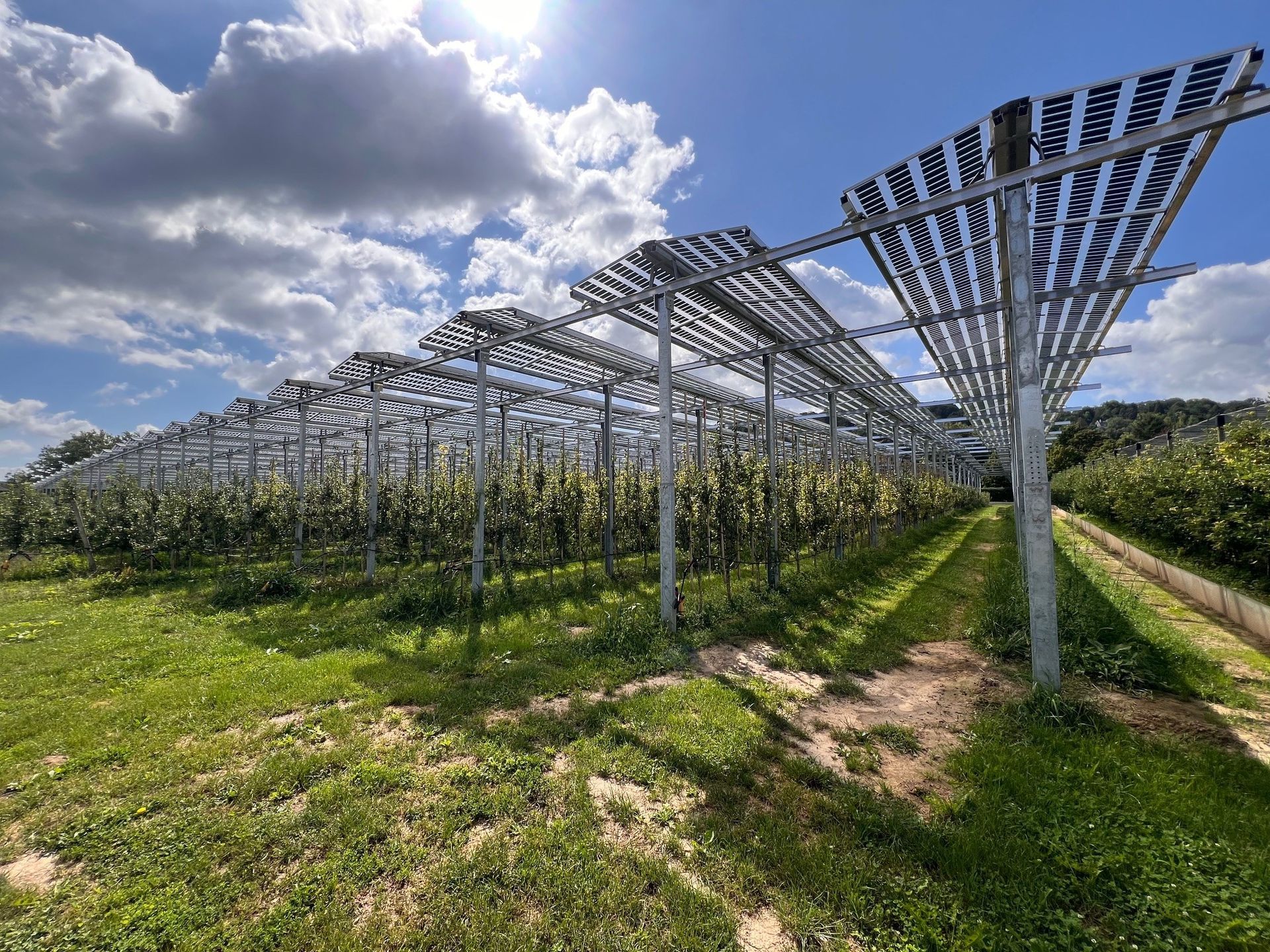 Äpfel, Akzeptanz, Anlagendesign, aufgeständerte Unterkonstruktion, Bewirtschaftung, Di-rektvermarktung, doppelte Landnutzung, Dürreschäden, Eigenstromverbrauch, Energie-wende, Ertragsprognose, Flächendruck, Flächeneffizienz, Folienüberdachung, Frostschä-den, Genehmigungsprozesse, Hagelschäden, Hagelschutznetze, intensive Ackerkulturen, Klimawandel, Landschaftsästhetik, Landschaftsattraktivität, Landschaftsschutz, landwirt-schaftliche Hauptnutzung, Lichtverfügbarkeit, Marktfähigkeit, Naturschutz, Fotosynthese, Pilotanlagen, privilegierte Vorhaben, ressourceneffiziente Landnutzung, Semitransparent, Sonnenbrand, Starkregen, Strombörse, Synergetische Integration, Tracker, Wasserma-nagement, Wasserverfügbarkeit, zusätzliche Solarstromproduktion, zusätzliches Einkom-men, EEG-Förderung, Ertragssteigerungen, Beeren, Wein, Gemüse, Modulbreite, Bilanz-kreis, Ackerkulturen, Gesamtproduktivität, anzulegender Wert, dienende Funktion, Netzbe-treiber, Ernteausfälle, zusätzliche Einkommensquelle, Reihenabstand, gartenbauliche, Kul-turen, Sonderkulturen, lichte Höhe, überragendes öffentliches, Interesse, Rammung, Er-zeugungsprognose, Überschusseinspeisung, Marktpreis, Neigungswinkel, Wechselrichter, Fernsteuerbarkeit, Bodenversiegelung, fixe Einspeisevergütung, Marktprämie, Flächen-druck, PV, Photovoltaik, Solar, PV-Anlage, Photovoltaik-Anlage, Photovoltaik Anlage, Ag-riPV, AgriPV, Agrar-PV, Agrar-PV, Agrar-Photovoltaik, Agrar Photovoltaik, Module, Unter-konstruktion, Landwirtschaft, Land, grün, Bauern, Obstanbau, Obst, Energie, erneuerbare Energie, PV, Carports, Tracker, geführt, statisch, Deutschland, PV-Firma, PV Firma, Agrar, Pflanzenkultur, Himbeere, Wein, Obst, Apfel