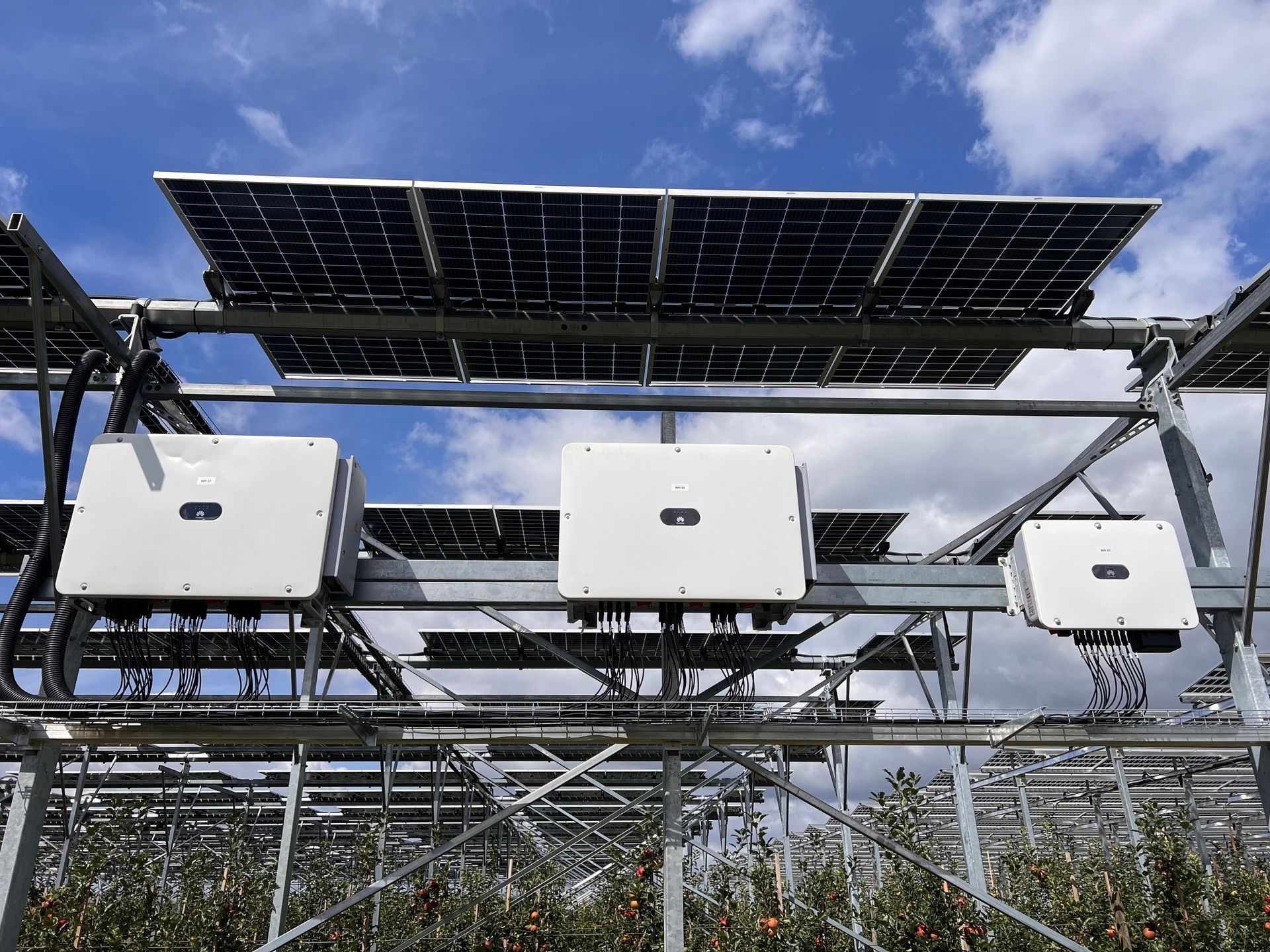 Äpfel, Akzeptanz, Anlagendesign, aufgeständerte Unterkonstruktion, Bewirtschaftung, Di-rektvermarktung, doppelte Landnutzung, Dürreschäden, Eigenstromverbrauch, Energie-wende, Ertragsprognose, Flächendruck, Flächeneffizienz, Folienüberdachung, Frostschä-den, Genehmigungsprozesse, Hagelschäden, Hagelschutznetze, intensive Ackerkulturen, Klimawandel, Landschaftsästhetik, Landschaftsattraktivität, Landschaftsschutz, landwirt-schaftliche Hauptnutzung, Lichtverfügbarkeit, Marktfähigkeit, Naturschutz, Fotosynthese, Pilotanlagen, privilegierte Vorhaben, ressourceneffiziente Landnutzung, Semitransparent, Sonnenbrand, Starkregen, Strombörse, Synergetische Integration, Tracker, Wasserma-nagement, Wasserverfügbarkeit, zusätzliche Solarstromproduktion, zusätzliches Einkom-men, EEG-Förderung, Ertragssteigerungen, Beeren, Wein, Gemüse, Modulbreite, Bilanz-kreis, Ackerkulturen, Gesamtproduktivität, anzulegender Wert, dienende Funktion, Netzbe-treiber, Ernteausfälle, zusätzliche Einkommensquelle, Reihenabstand, gartenbauliche, Kul-turen, Sonderkulturen, lichte Höhe, überragendes öffentliches, Interesse, Rammung, Er-zeugungsprognose, Überschusseinspeisung, Marktpreis, Neigungswinkel, Wechselrichter, Fernsteuerbarkeit, Bodenversiegelung, fixe Einspeisevergütung, Marktprämie, Flächen-druck, PV, Photovoltaik, Solar, PV-Anlage, Photovoltaik-Anlage, Photovoltaik Anlage, Ag-riPV, AgriPV, Agrar-PV, Agrar-PV, Agrar-Photovoltaik, Agrar Photovoltaik, Module, Unter-konstruktion, Landwirtschaft, Land, grün, Bauern, Obstanbau, Obst, Energie, erneuerbare Energie, PV, Carports, Tracker, geführt, statisch, Deutschland, PV-Firma, PV Firma, Agrar, Pflanzenkultur, Himbeere, Wein, Obst, Apfel