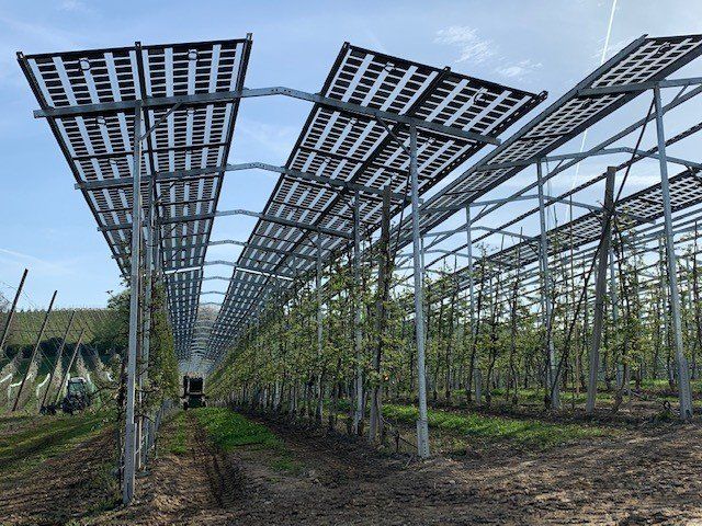 Äpfel, Akzeptanz, Anlagendesign, aufgeständerte Unterkonstruktion, Bewirtschaf-tung, Direktvermarktung, doppelte Landnutzung, Dürreschäden, Eigenstromver-brauch, Energiewende, Ertragsprognose, Flächendruck, Flächeneffizienz, Folienüber-dachung, Frostschäden, Genehmigungsprozesse, Hagelschäden, Hagelschutznetze, intensive Ackerkulturen, Klimawandel, Landschaftsästhetik, Landschaftsattraktivität, Landschaftsschutz, landwirtschaftliche Hauptnutzung, Lichtverfügbarkeit, Marktfähig-keit, Naturschutz, Fotosynthese, Pilotanlagen, privilegierte Vorhaben, ressourceneffi-ziente Landnutzung, Semitransparent, Sonnenbrand, Starkregen, Strombörse, Syner-getische Integration, Tracker, Wassermanagement, Wasserverfügbarkeit, zusätzliche Solarstromproduktion, zusätzliches Einkommen, EEG-Förderung, Ertragssteigerungen, Beeren, Wein, Gemüse, Modulbreite, Bilanzkreis, Ackerkulturen, Gesamtproduktivität, anzulegender Wert, dienende Funktion, Netzbetreiber, Ernteausfälle, zusätzliche Ein-kommensquelle, Reihenabstand, gartenbauliche, Kulturen, Sonderkulturen, lichte Hö-he, überragendes öffentliches, Interesse, Rammung, Erzeugungsprognose, Über-schusseinspeisung, Marktpreis, Neigungswinkel, Wechselrichter, Fernsteuerbarkeit, Bodenversiegelung, fixe Einspeisevergütung, Marktprämie, Flächendruck, PV, Photo-voltaik, Solar, PV-Anlage, Photovoltaik-Anlage, Photovoltaik Anlage, AgriPV, AgriPV, Agrar-PV, Agrar-PV, Agrar-Photovoltaik, Agrar Photovoltaik, Module, Unterkonstrukti-on, Landwirtschaft, Land, grün, Bauern, Obstanbau, Obst, Energie, erneuerbare Ener-gie, PV, Carports, Tracker, geführt, statisch, Deutschland, PV-Firma, PV Firma, Agrar, Pflanzenkultur, Himbeere, Wein, Obst, Apfel