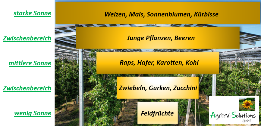 Äpfel, Akzeptanz, Anlagendesign, aufgeständerte Unterkonstruktion, Bewirtschaf-tung, Direktvermarktung, doppelte Landnutzung, Dürreschäden, Eigenstromver-brauch, Energiewende, Ertragsprognose, Flächendruck, Flächeneffizienz, Folienüber-dachung, Frostschäden, Genehmigungsprozesse, Hagelschäden, Hagelschutznetze, intensive Ackerkulturen, Klimawandel, Landschaftsästhetik, Landschaftsattraktivität, Landschaftsschutz, landwirtschaftliche Hauptnutzung, Lichtverfügbarkeit, Marktfähig-keit, Naturschutz, Fotosynthese, Pilotanlagen, privilegierte Vorhaben, ressourceneffi-ziente Landnutzung, Semitransparent, Sonnenbrand, Starkregen, Strombörse, Syner-getische Integration, Tracker, Wassermanagement, Wasserverfügbarkeit, zusätzliche Solarstromproduktion, zusätzliches Einkommen, EEG-Förderung, Ertragssteigerungen, Beeren, Wein, Gemüse, Modulbreite, Bilanzkreis, Ackerkulturen, Gesamtproduktivität, anzulegender Wert, dienende Funktion, Netzbetreiber, Ernteausfälle, zusätzliche Ein-kommensquelle, Reihenabstand, gartenbauliche, Kulturen, Sonderkulturen, lichte Hö-he, überragendes öffentliches, Interesse, Rammung, Erzeugungsprognose, Über-schusseinspeisung, Marktpreis, Neigungswinkel, Wechselrichter, Fernsteuerbarkeit, Bodenversiegelung, fixe Einspeisevergütung, Marktprämie, Flächendruck, PV, Photo-voltaik, Solar, PV-Anlage, Photovoltaik-Anlage, Photovoltaik Anlage, AgriPV, AgriPV, Agrar-PV, Agrar-PV, Agrar-Photovoltaik, Agrar Photovoltaik, Module, Unterkonstrukti-on, Landwirtschaft, Land, grün, Bauern, Obstanbau, Obst, Energie, erneuerbare Ener-gie, PV, Carports, Tracker, geführt, statisch, Deutschland, PV-Firma, PV Firma, Agrar, Pflanzenkultur, Himbeere, Wein, Obst, Apfel