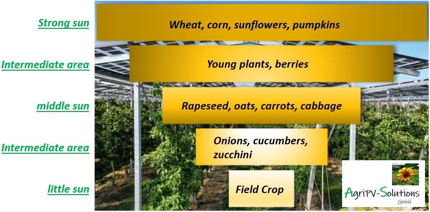 Äpfel, Akzeptanz, Anlagendesign, aufgeständerte Unterkonstruktion, Bewirtschaf-tung, Direktvermarktung, doppelte Landnutzung, Dürreschäden, Eigenstromver-brauch, Energiewende, Ertragsprognose, Flächendruck, Flächeneffizienz, Folienüber-dachung, Frostschäden, Genehmigungsprozesse, Hagelschäden, Hagelschutznetze, intensive Ackerkulturen, Klimawandel, Landschaftsästhetik, Landschaftsattraktivität, Landschaftsschutz, landwirtschaftliche Hauptnutzung, Lichtverfügbarkeit, Marktfähig-keit, Naturschutz, Fotosynthese, Pilotanlagen, privilegierte Vorhaben, ressourceneffi-ziente Landnutzung, Semitransparent, Sonnenbrand, Starkregen, Strombörse, Syner-getische Integration, Tracker, Wassermanagement, Wasserverfügbarkeit, zusätzliche Solarstromproduktion, zusätzliches Einkommen, EEG-Förderung, Ertragssteigerungen, Beeren, Wein, Gemüse, Modulbreite, Bilanzkreis, Ackerkulturen, Gesamtproduktivität, anzulegender Wert, dienende Funktion, Netzbetreiber, Ernteausfälle, zusätzliche Ein-kommensquelle, Reihenabstand, gartenbauliche, Kulturen, Sonderkulturen, lichte Hö-he, überragendes öffentliches, Interesse, Rammung, Erzeugungsprognose, Über-schusseinspeisung, Marktpreis, Neigungswinkel, Wechselrichter, Fernsteuerbarkeit, Bodenversiegelung, fixe Einspeisevergütung, Marktprämie, Flächendruck, PV, Photo-voltaik, Solar, PV-Anlage, Photovoltaik-Anlage, Photovoltaik Anlage, AgriPV, AgriPV, Agrar-PV, Agrar-PV, Agrar-Photovoltaik, Agrar Photovoltaik, Module, Unterkonstrukti-on, Landwirtschaft, Land, grün, Bauern, Obstanbau, Obst, Energie, erneuerbare Ener-gie, PV, Carports, Tracker, geführt, statisch, Deutschland, PV-Firma, PV Firma, Agrar, Pflanzenkultur, Himbeere, Wein, Obst, Apfel