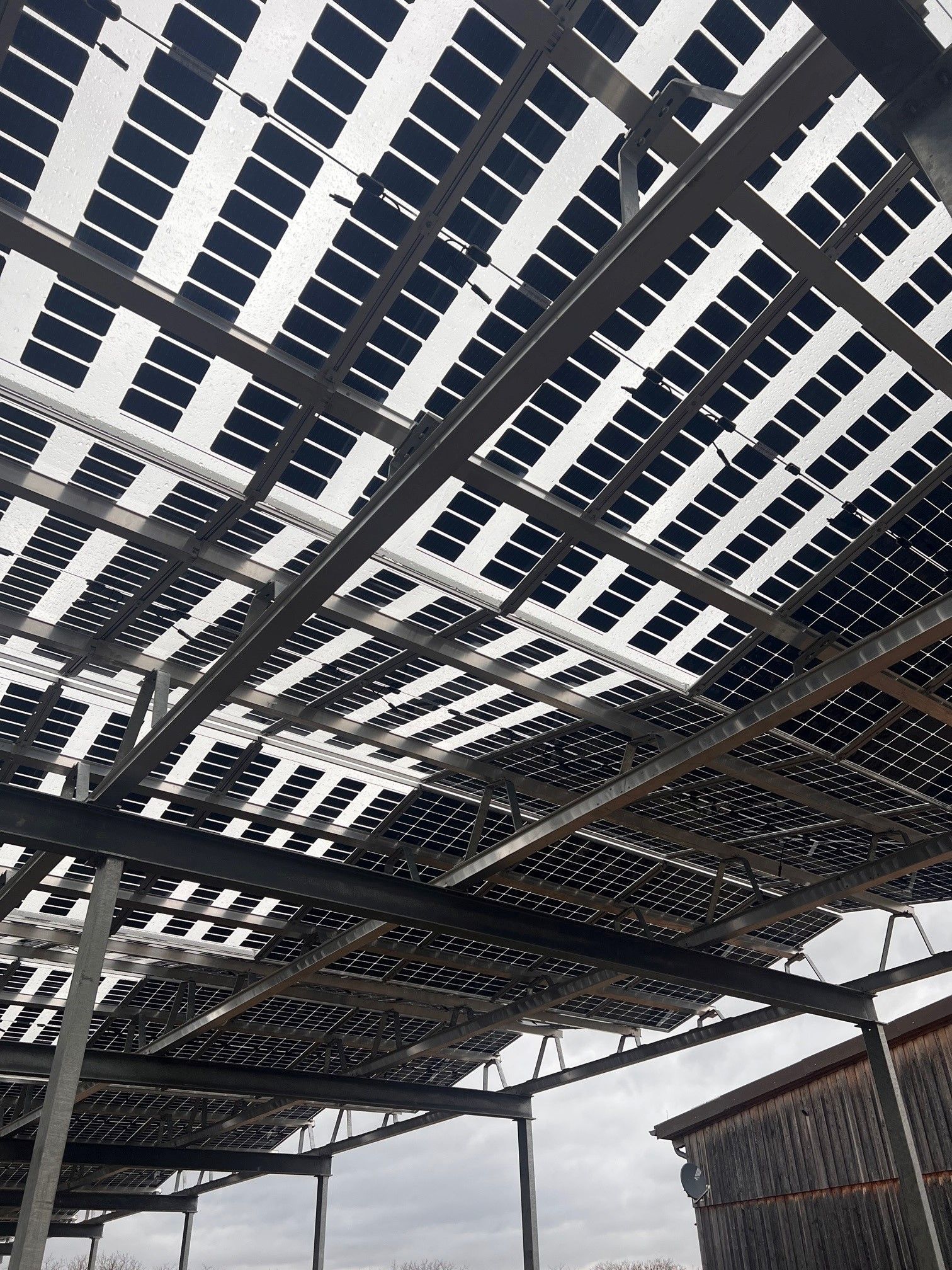 Äpfel, Akzeptanz, Anlagendesign, aufgeständerte Unterkonstruktion, Bewirtschaf-tung, Direktvermarktung, doppelte Landnutzung, Dürreschäden, Eigenstromver-brauch, Energiewende, Ertragsprognose, Flächendruck, Flächeneffizienz, Folienüber-dachung, Frostschäden, Genehmigungsprozesse, Hagelschäden, Hagelschutznetze, intensive Ackerkulturen, Klimawandel, Landschaftsästhetik, Landschaftsattraktivität, Landschaftsschutz, landwirtschaftliche Hauptnutzung, Lichtverfügbarkeit, Marktfähig-keit, Naturschutz, Fotosynthese, Pilotanlagen, privilegierte Vorhaben, ressourceneffi-ziente Landnutzung, Semitransparent, Sonnenbrand, Starkregen, Strombörse, Syner-getische Integration, Tracker, Wassermanagement, Wasserverfügbarkeit, zusätzliche Solarstromproduktion, zusätzliches Einkommen, EEG-Förderung, Ertragssteigerungen, Beeren, Wein, Gemüse, Modulbreite, Bilanzkreis, Ackerkulturen, Gesamtproduktivität, anzulegender Wert, dienende Funktion, Netzbetreiber, Ernteausfälle, zusätzliche Ein-kommensquelle, Reihenabstand, gartenbauliche, Kulturen, Sonderkulturen, lichte Hö-he, überragendes öffentliches, Interesse, Rammung, Erzeugungsprognose, Über-schusseinspeisung, Marktpreis, Neigungswinkel, Wechselrichter, Fernsteuerbarkeit, Bodenversiegelung, fixe Einspeisevergütung, Marktprämie, Flächendruck, PV, Photo-voltaik, Solar, PV-Anlage, Photovoltaik-Anlage, Photovoltaik Anlage, AgriPV, AgriPV, Agrar-PV, Agrar-PV, Agrar-Photovoltaik, Agrar Photovoltaik, Module, Unterkonstrukti-on, Landwirtschaft, Land, grün, Bauern, Obstanbau, Obst, Energie, erneuerbare Ener-gie, PV, Carports, Tracker, geführt, statisch, Deutschland, PV-Firma, PV Firma, Agrar, Pflanzenkultur, Himbeere, Wein, Obst, Apfel