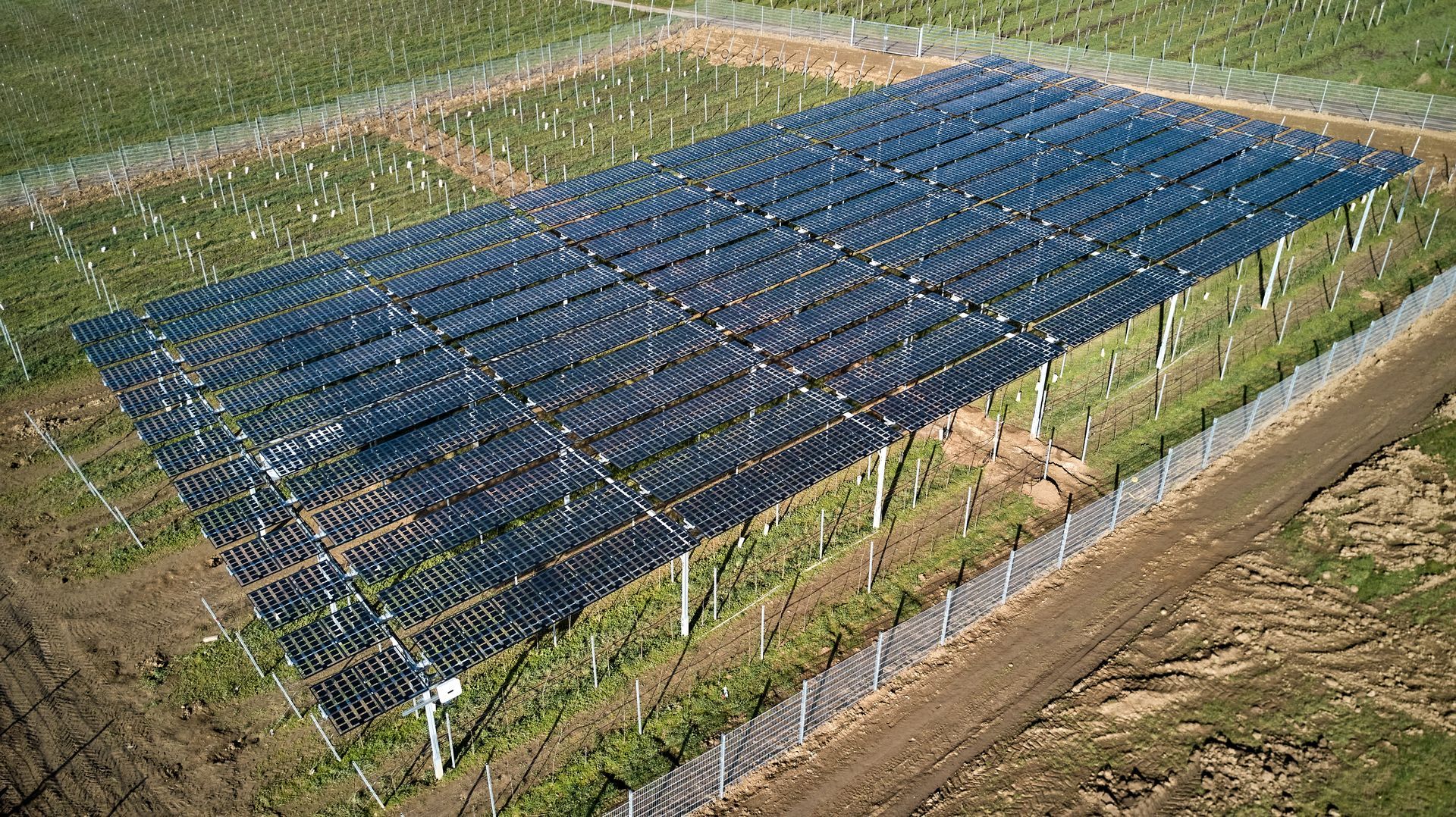 Äpfel, Akzeptanz, Anlagendesign, aufgeständerte Unterkonstruktion, Bewirtschaftung, Di-rektvermarktung, doppelte Landnutzung, Dürreschäden, Eigenstromverbrauch, Energie-wende, Ertragsprognose, Flächendruck, Flächeneffizienz, Folienüberdachung, Frostschä-den, Genehmigungsprozesse, Hagelschäden, Hagelschutznetze, intensive Ackerkulturen, Klimawandel, Landschaftsästhetik, Landschaftsattraktivität, Landschaftsschutz, landwirt-schaftliche Hauptnutzung, Lichtverfügbarkeit, Marktfähigkeit, Naturschutz, Fotosynthese, Pilotanlagen, privilegierte Vorhaben, ressourceneffiziente Landnutzung, Semitransparent, Sonnenbrand, Starkregen, Strombörse, Synergetische Integration, Tracker, Wasserma-nagement, Wasserverfügbarkeit, zusätzliche Solarstromproduktion, zusätzliches Einkom-men, EEG-Förderung, Ertragssteigerungen, Beeren, Wein, Gemüse, Modulbreite, Bilanz-kreis, Ackerkulturen, Gesamtproduktivität, anzulegender Wert, dienende Funktion, Netzbe-treiber, Ernteausfälle, zusätzliche Einkommensquelle, Reihenabstand, gartenbauliche, Kul-turen, Sonderkulturen, lichte Höhe, überragendes öffentliches, Interesse, Rammung, Er-zeugungsprognose, Überschusseinspeisung, Marktpreis, Neigungswinkel, Wechselrichter, Fernsteuerbarkeit, Bodenversiegelung, fixe Einspeisevergütung, Marktprämie, Flächen-druck, PV, Photovoltaik, Solar, PV-Anlage, Photovoltaik-Anlage, Photovoltaik Anlage, Ag-riPV, AgriPV, Agrar-PV, Agrar-PV, Agrar-Photovoltaik, Agrar Photovoltaik, Module, Unter-konstruktion, Landwirtschaft, Land, grün, Bauern, Obstanbau, Obst, Energie, erneuerbare Energie, PV, Carports, Tracker, geführt, statisch, Deutschland, PV-Firma, PV Firma, Agrar, Pflanzenkultur, Himbeere, Wein, Obst, Apfel