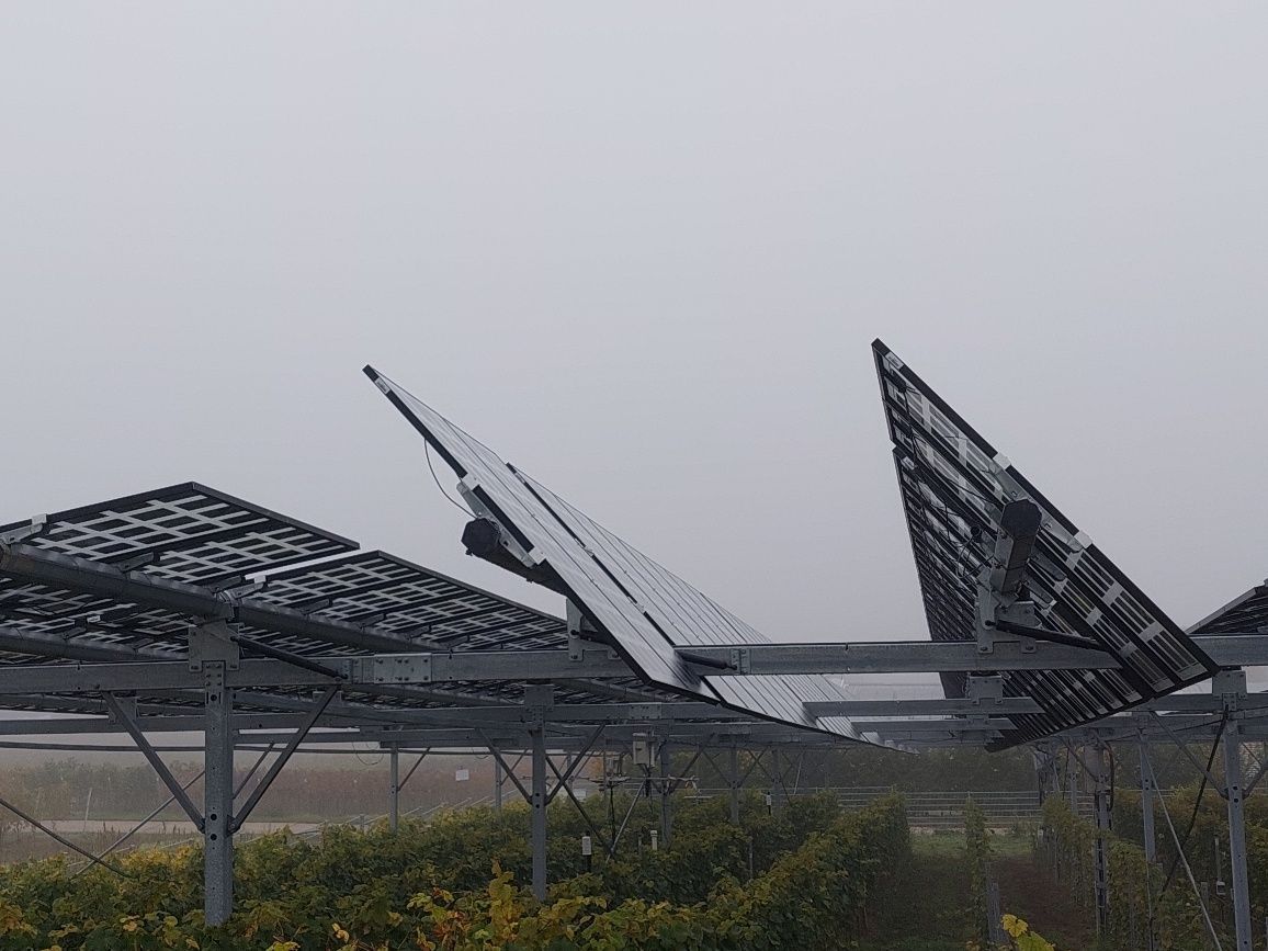 Äpfel, Akzeptanz, Anlagendesign, aufgeständerte Unterkonstruktion, Bewirtschaftung, Di-rektvermarktung, doppelte Landnutzung, Dürreschäden, Eigenstromverbrauch, Energie-wende, Ertragsprognose, Flächendruck, Flächeneffizienz, Folienüberdachung, Frostschä-den, Genehmigungsprozesse, Hagelschäden, Hagelschutznetze, intensive Ackerkulturen, Klimawandel, Landschaftsästhetik, Landschaftsattraktivität, Landschaftsschutz, landwirt-schaftliche Hauptnutzung, Lichtverfügbarkeit, Marktfähigkeit, Naturschutz, Fotosynthese, Pilotanlagen, privilegierte Vorhaben, ressourceneffiziente Landnutzung, Semitransparent, Sonnenbrand, Starkregen, Strombörse, Synergetische Integration, Tracker, Wasserma-nagement, Wasserverfügbarkeit, zusätzliche Solarstromproduktion, zusätzliches Einkom-men, EEG-Förderung, Ertragssteigerungen, Beeren, Wein, Gemüse, Modulbreite, Bilanz-kreis, Ackerkulturen, Gesamtproduktivität, anzulegender Wert, dienende Funktion, Netzbe-treiber, Ernteausfälle, zusätzliche Einkommensquelle, Reihenabstand, gartenbauliche, Kul-turen, Sonderkulturen, lichte Höhe, überragendes öffentliches, Interesse, Rammung, Er-zeugungsprognose, Überschusseinspeisung, Marktpreis, Neigungswinkel, Wechselrichter, Fernsteuerbarkeit, Bodenversiegelung, fixe Einspeisevergütung, Marktprämie, Flächen-druck, PV, Photovoltaik, Solar, PV-Anlage, Photovoltaik-Anlage, Photovoltaik Anlage, Ag-riPV, AgriPV, Agrar-PV, Agrar-PV, Agrar-Photovoltaik, Agrar Photovoltaik, Module, Unter-konstruktion, Landwirtschaft, Land, grün, Bauern, Obstanbau, Obst, Energie, erneuerbare Energie, PV, Carports, Tracker, geführt, statisch, Deutschland, PV-Firma, PV Firma, Agrar, Pflanzenkultur, Himbeere, Wein, Obst, Apfel