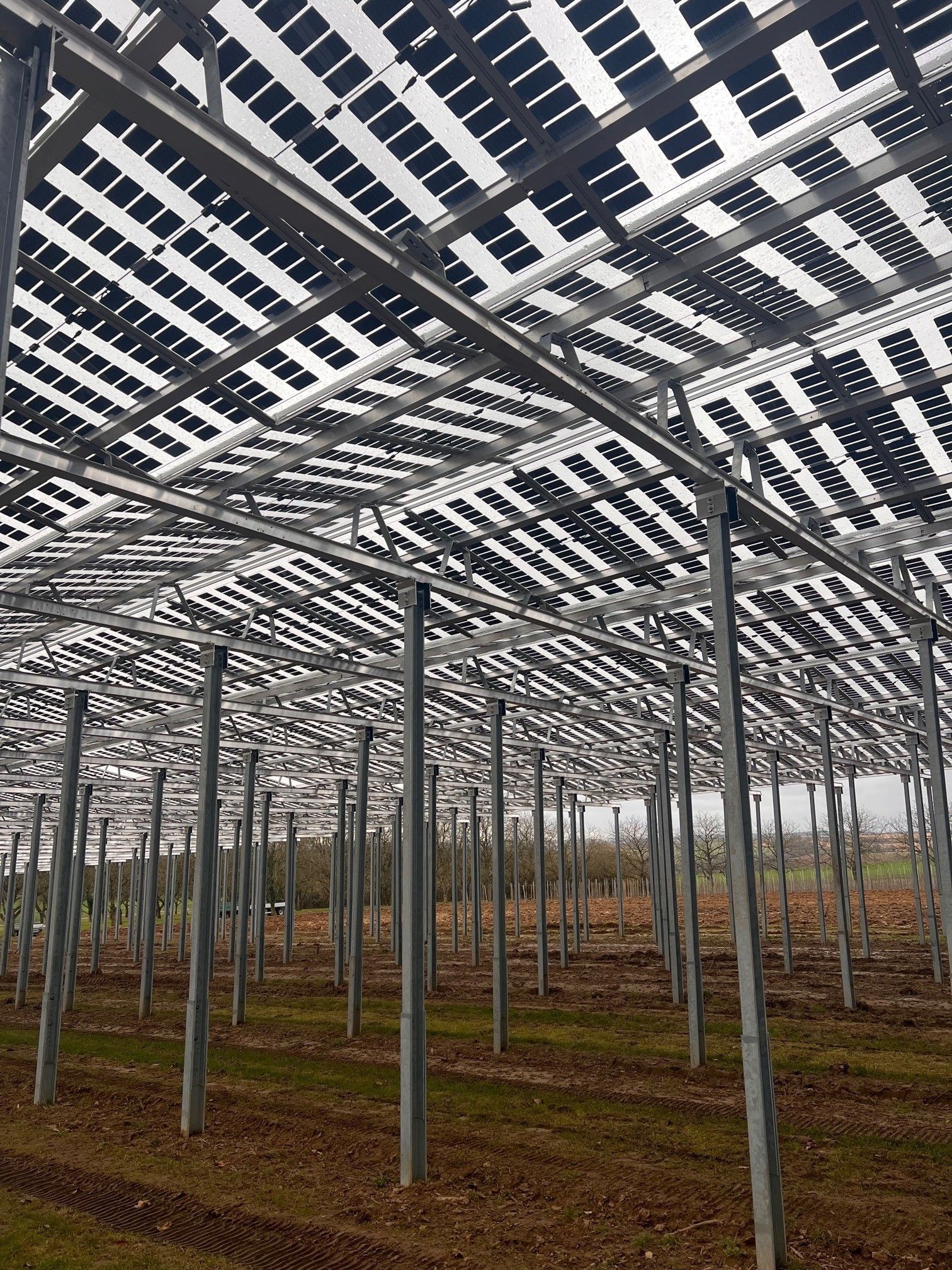 Äpfel, Akzeptanz, Anlagendesign, aufgeständerte Unterkonstruktion, Bewirtschaf-tung, Direktvermarktung, doppelte Landnutzung, Dürreschäden, Eigenstromver-brauch, Energiewende, Ertragsprognose, Flächendruck, Flächeneffizienz, Folienüber-dachung, Frostschäden, Genehmigungsprozesse, Hagelschäden, Hagelschutznetze, intensive Ackerkulturen, Klimawandel, Landschaftsästhetik, Landschaftsattraktivität, Landschaftsschutz, landwirtschaftliche Hauptnutzung, Lichtverfügbarkeit, Marktfähig-keit, Naturschutz, Fotosynthese, Pilotanlagen, privilegierte Vorhaben, ressourceneffi-ziente Landnutzung, Semitransparent, Sonnenbrand, Starkregen, Strombörse, Syner-getische Integration, Tracker, Wassermanagement, Wasserverfügbarkeit, zusätzliche Solarstromproduktion, zusätzliches Einkommen, EEG-Förderung, Ertragssteigerungen, Beeren, Wein, Gemüse, Modulbreite, Bilanzkreis, Ackerkulturen, Gesamtproduktivität, anzulegender Wert, dienende Funktion, Netzbetreiber, Ernteausfälle, zusätzliche Ein-kommensquelle, Reihenabstand, gartenbauliche, Kulturen, Sonderkulturen, lichte Hö-he, überragendes öffentliches, Interesse, Rammung, Erzeugungsprognose, Über-schusseinspeisung, Marktpreis, Neigungswinkel, Wechselrichter, Fernsteuerbarkeit, Bodenversiegelung, fixe Einspeisevergütung, Marktprämie, Flächendruck, PV, Photo-voltaik, Solar, PV-Anlage, Photovoltaik-Anlage, Photovoltaik Anlage, AgriPV, AgriPV, Agrar-PV, Agrar-PV, Agrar-Photovoltaik, Agrar Photovoltaik, Module, Unterkonstrukti-on, Landwirtschaft, Land, grün, Bauern, Obstanbau, Obst, Energie, erneuerbare Ener-gie, PV, Carports, Tracker, geführt, statisch, Deutschland, PV-Firma, PV Firma, Agrar, Pflanzenkultur, Himbeere, Wein, Obst, Apfel