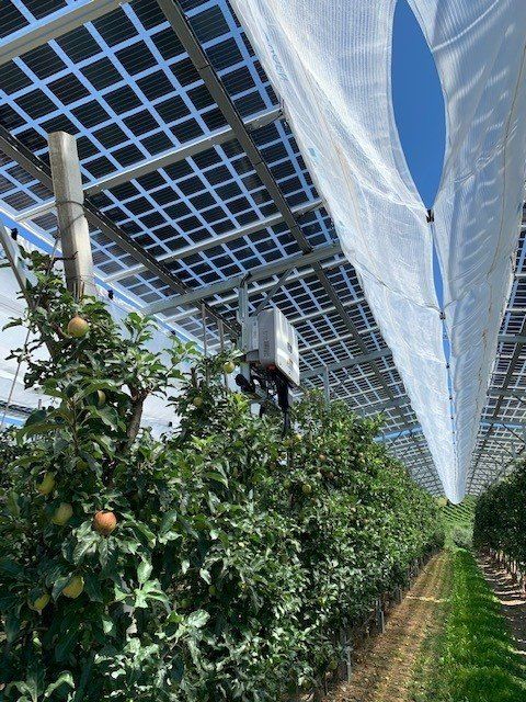 Äpfel, Akzeptanz, Anlagendesign, aufgeständerte Unterkonstruktion, Bewirtschaf-tung, Direktvermarktung, doppelte Landnutzung, Dürreschäden, Eigenstromver-brauch, Energiewende, Ertragsprognose, Flächendruck, Flächeneffizienz, Folienüber-dachung, Frostschäden, Genehmigungsprozesse, Hagelschäden, Hagelschutznetze, intensive Ackerkulturen, Klimawandel, Landschaftsästhetik, Landschaftsattraktivität, Landschaftsschutz, landwirtschaftliche Hauptnutzung, Lichtverfügbarkeit, Marktfähig-keit, Naturschutz, Fotosynthese, Pilotanlagen, privilegierte Vorhaben, ressourceneffi-ziente Landnutzung, Semitransparent, Sonnenbrand, Starkregen, Strombörse, Syner-getische Integration, Tracker, Wassermanagement, Wasserverfügbarkeit, zusätzliche Solarstromproduktion, zusätzliches Einkommen, EEG-Förderung, Ertragssteigerungen, Beeren, Wein, Gemüse, Modulbreite, Bilanzkreis, Ackerkulturen, Gesamtproduktivität, anzulegender Wert, dienende Funktion, Netzbetreiber, Ernteausfälle, zusätzliche Ein-kommensquelle, Reihenabstand, gartenbauliche, Kulturen, Sonderkulturen, lichte Hö-he, überragendes öffentliches, Interesse, Rammung, Erzeugungsprognose, Über-schusseinspeisung, Marktpreis, Neigungswinkel, Wechselrichter, Fernsteuerbarkeit, Bodenversiegelung, fixe Einspeisevergütung, Marktprämie, Flächendruck, PV, Photo-voltaik, Solar, PV-Anlage, Photovoltaik-Anlage, Photovoltaik Anlage, AgriPV, AgriPV, Agrar-PV, Agrar-PV, Agrar-Photovoltaik, Agrar Photovoltaik, Module, Unterkonstrukti-on, Landwirtschaft, Land, grün, Bauern, Obstanbau, Obst, Energie, erneuerbare Ener-gie, PV, Carports, Tracker, geführt, statisch, Deutschland, PV-Firma, PV Firma, Agrar, Pflanzenkultur, Himbeere, Wein, Obst, Apfel