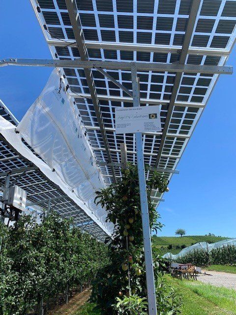 Äpfel, Akzeptanz, Anlagendesign, aufgeständerte Unterkonstruktion, Bewirtschaf-tung, Direktvermarktung, doppelte Landnutzung, Dürreschäden, Eigenstromver-brauch, Energiewende, Ertragsprognose, Flächendruck, Flächeneffizienz, Folienüber-dachung, Frostschäden, Genehmigungsprozesse, Hagelschäden, Hagelschutznetze, intensive Ackerkulturen, Klimawandel, Landschaftsästhetik, Landschaftsattraktivität, Landschaftsschutz, landwirtschaftliche Hauptnutzung, Lichtverfügbarkeit, Marktfähig-keit, Naturschutz, Fotosynthese, Pilotanlagen, privilegierte Vorhaben, ressourceneffi-ziente Landnutzung, Semitransparent, Sonnenbrand, Starkregen, Strombörse, Syner-getische Integration, Tracker, Wassermanagement, Wasserverfügbarkeit, zusätzliche Solarstromproduktion, zusätzliches Einkommen, EEG-Förderung, Ertragssteigerungen, Beeren, Wein, Gemüse, Modulbreite, Bilanzkreis, Ackerkulturen, Gesamtproduktivität, anzulegender Wert, dienende Funktion, Netzbetreiber, Ernteausfälle, zusätzliche Ein-kommensquelle, Reihenabstand, gartenbauliche, Kulturen, Sonderkulturen, lichte Hö-he, überragendes öffentliches, Interesse, Rammung, Erzeugungsprognose, Über-schusseinspeisung, Marktpreis, Neigungswinkel, Wechselrichter, Fernsteuerbarkeit, Bodenversiegelung, fixe Einspeisevergütung, Marktprämie, Flächendruck, PV, Photo-voltaik, Solar, PV-Anlage, Photovoltaik-Anlage, Photovoltaik Anlage, AgriPV, AgriPV, Agrar-PV, Agrar-PV, Agrar-Photovoltaik, Agrar Photovoltaik, Module, Unterkonstrukti-on, Landwirtschaft, Land, grün, Bauern, Obstanbau, Obst, Energie, erneuerbare Ener-gie, PV, Carports, Tracker, geführt, statisch, Deutschland, PV-Firma, PV Firma, Agrar, Pflanzenkultur, Himbeere, Wein, Obst, Apfel